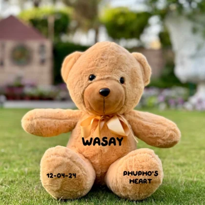 Brown Teddy 14 inch