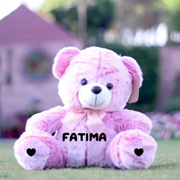 Teddy Bear 18 Inch Pink